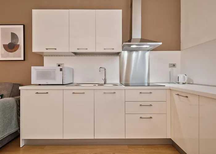 Corso Vittorio Duplex Apartment Turin